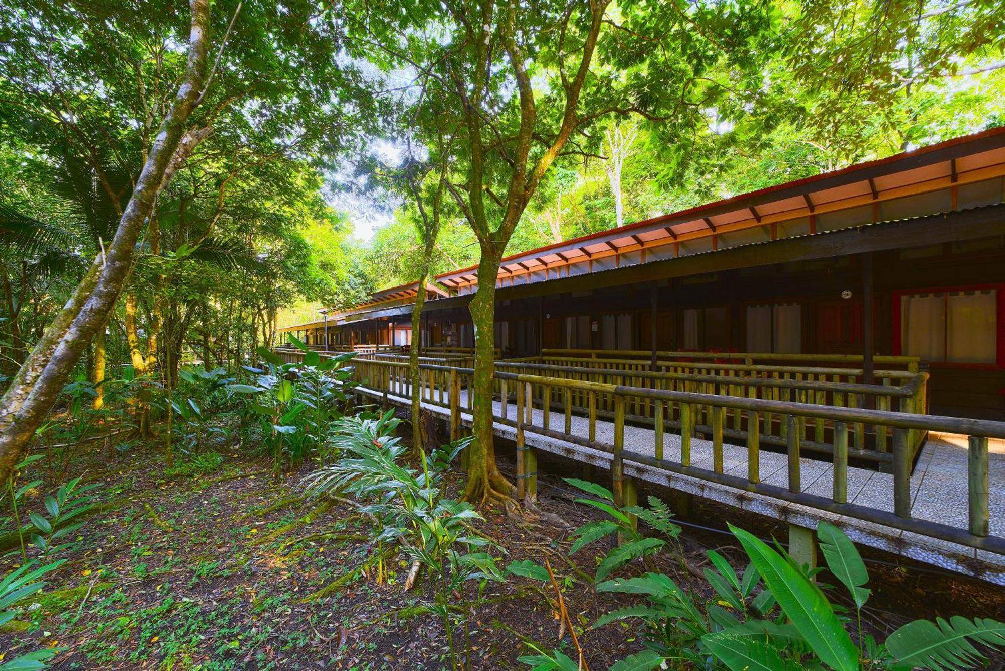 Evergreen Lodge Tortuguero Exterior foto