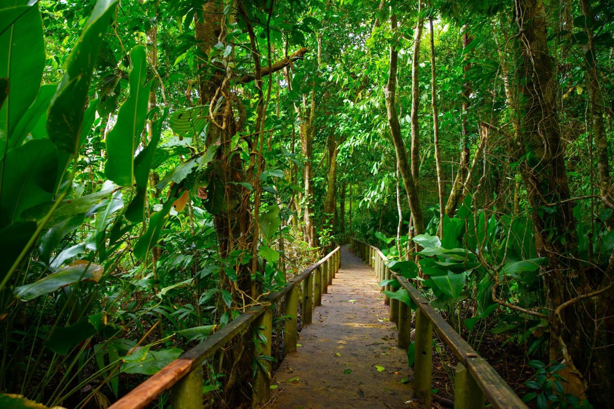 Evergreen Lodge Tortuguero Exterior foto