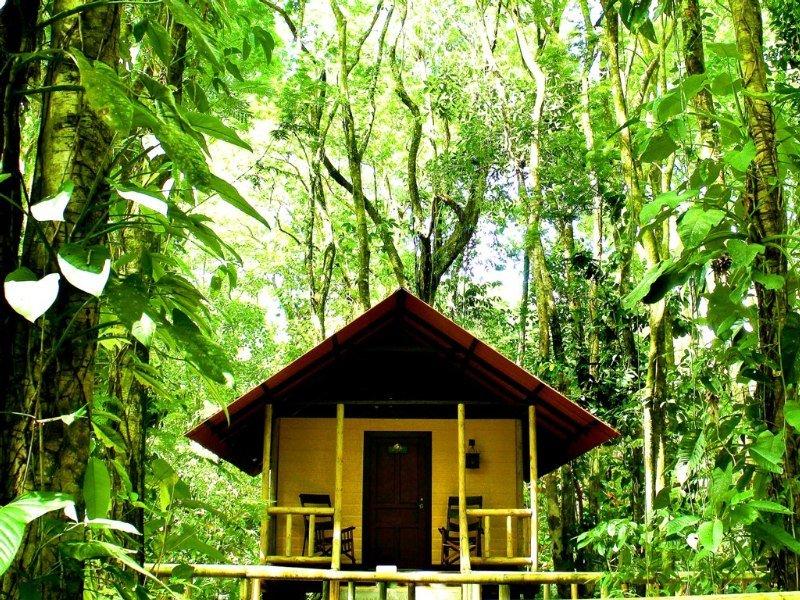 Evergreen Lodge Tortuguero Exterior foto