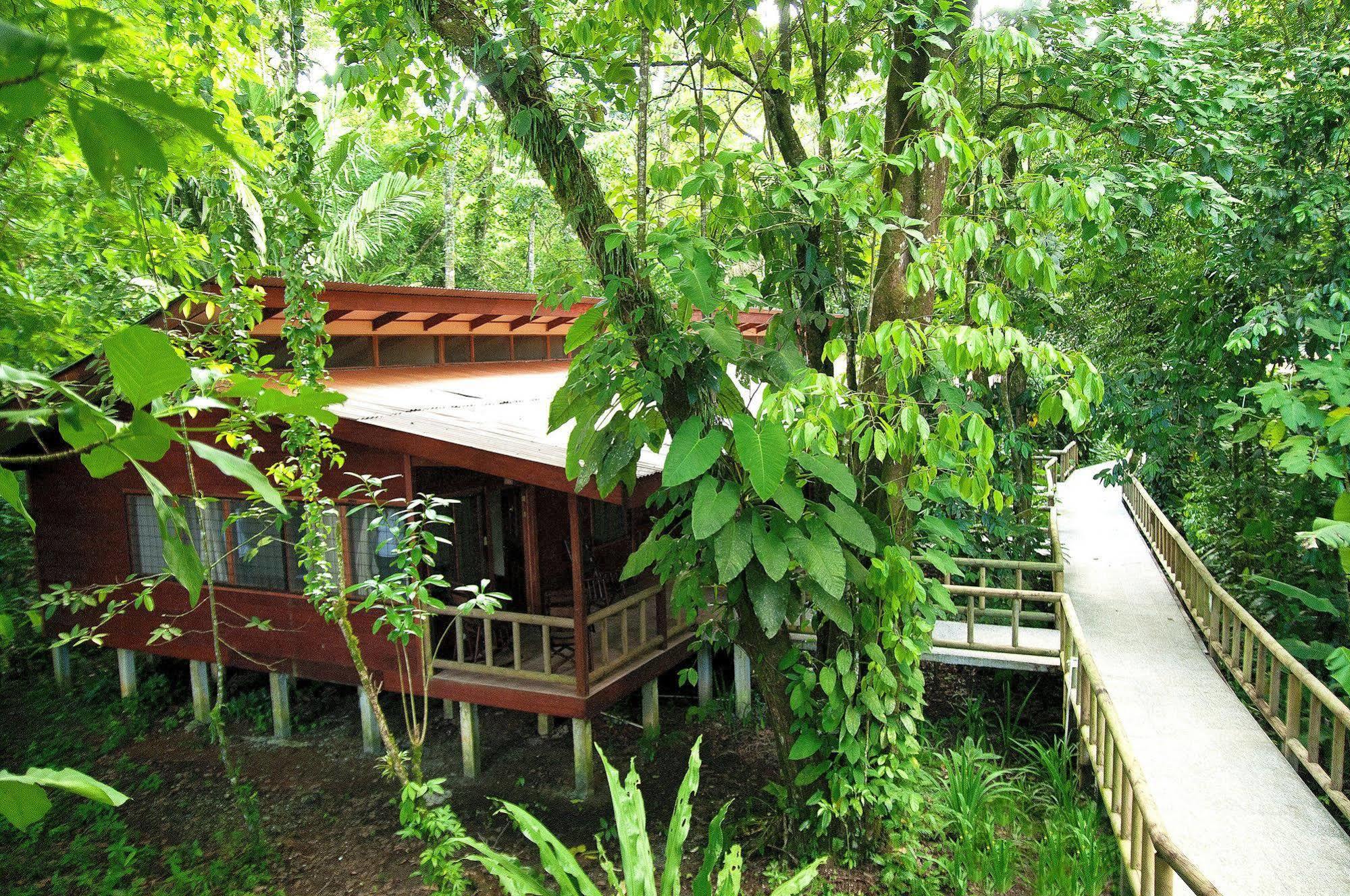 Evergreen Lodge Tortuguero Exterior foto
